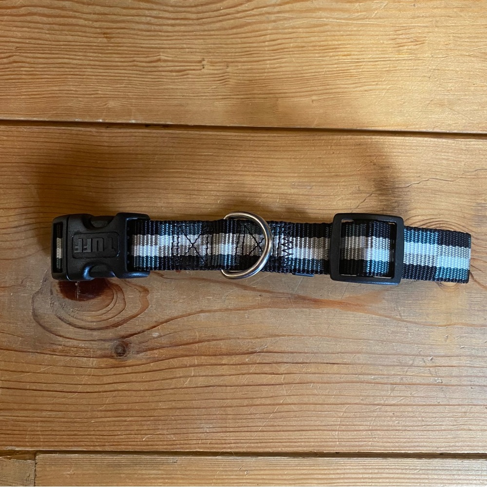 🐕‍🦺3 for $20 - Dog Collar